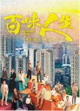 妻子的视频：重逢 封面
